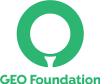 Geo Foundation